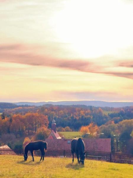 Domek Domiarki Klecza Bagian luar foto